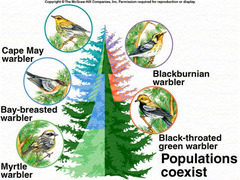 <p>the differentiation of niches that enables similar species to coexist in a community</p>
