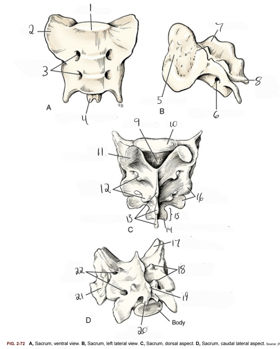 <p>6</p>
