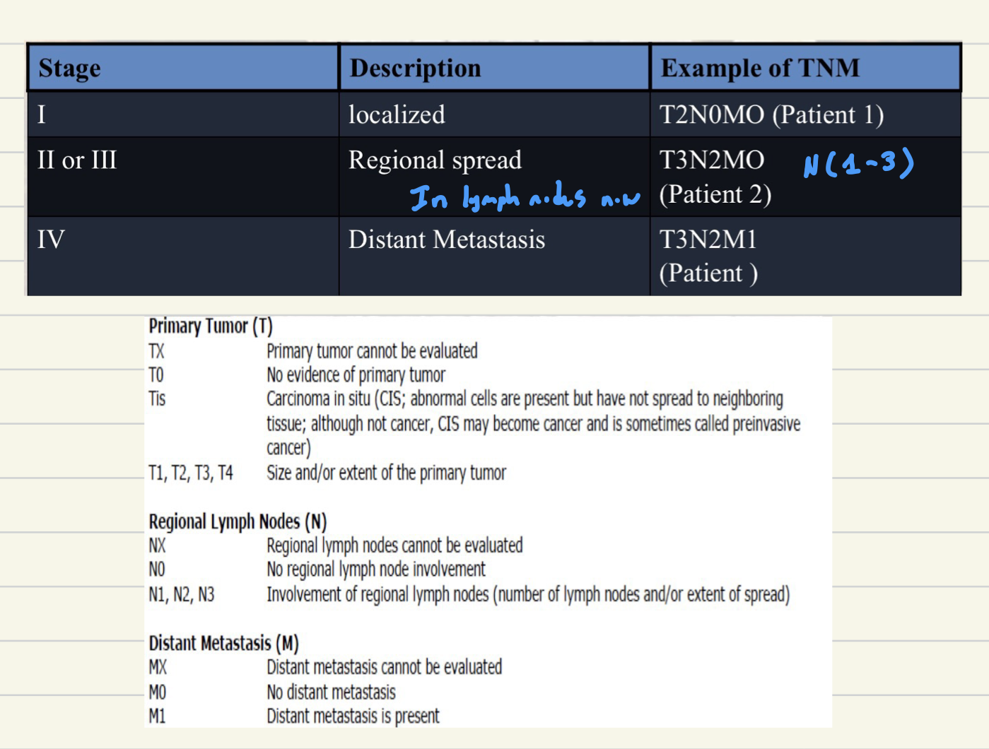<ul><li><p>Stage 1: Localized (will have <u>T#N0M0</u> grading)</p></li><li><p>Stage 2: Regional Spread (will have <u>T#N#M0</u> grading)</p></li><li><p>Stage 3: Distant Metastasis (will have <u>T#N#M#</u> grading)</p><ul><li><p># denotes any number greater than 0</p></li><li><p>See following table</p></li></ul></li></ul><p></p>