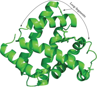 <p>Tertiary Structure </p>