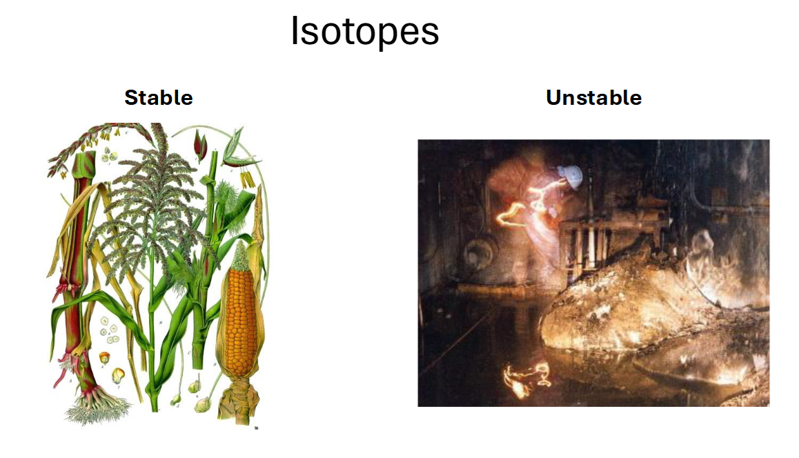<p>Atoms of same element with same number of protons and electrons, but different number of neutrons</p><ul><li><p>Variability in atomic mass</p></li></ul><p>Naturally occur in the environment</p><p></p><p>When an organism consumes (and metabolize) food and water, it incorporates the source’s elemental composition</p><ul><li><p><strong>You are what you eat!</strong></p></li><li><p>The carbon atoms in your bones are from your food and the air</p></li></ul><p>The heavy and light isotopes are separated in a chemical reaction process called <strong>fractionation</strong>.</p><ul><li><p>Prefers lighter isotopes over heaver ones</p></li></ul><p></p>