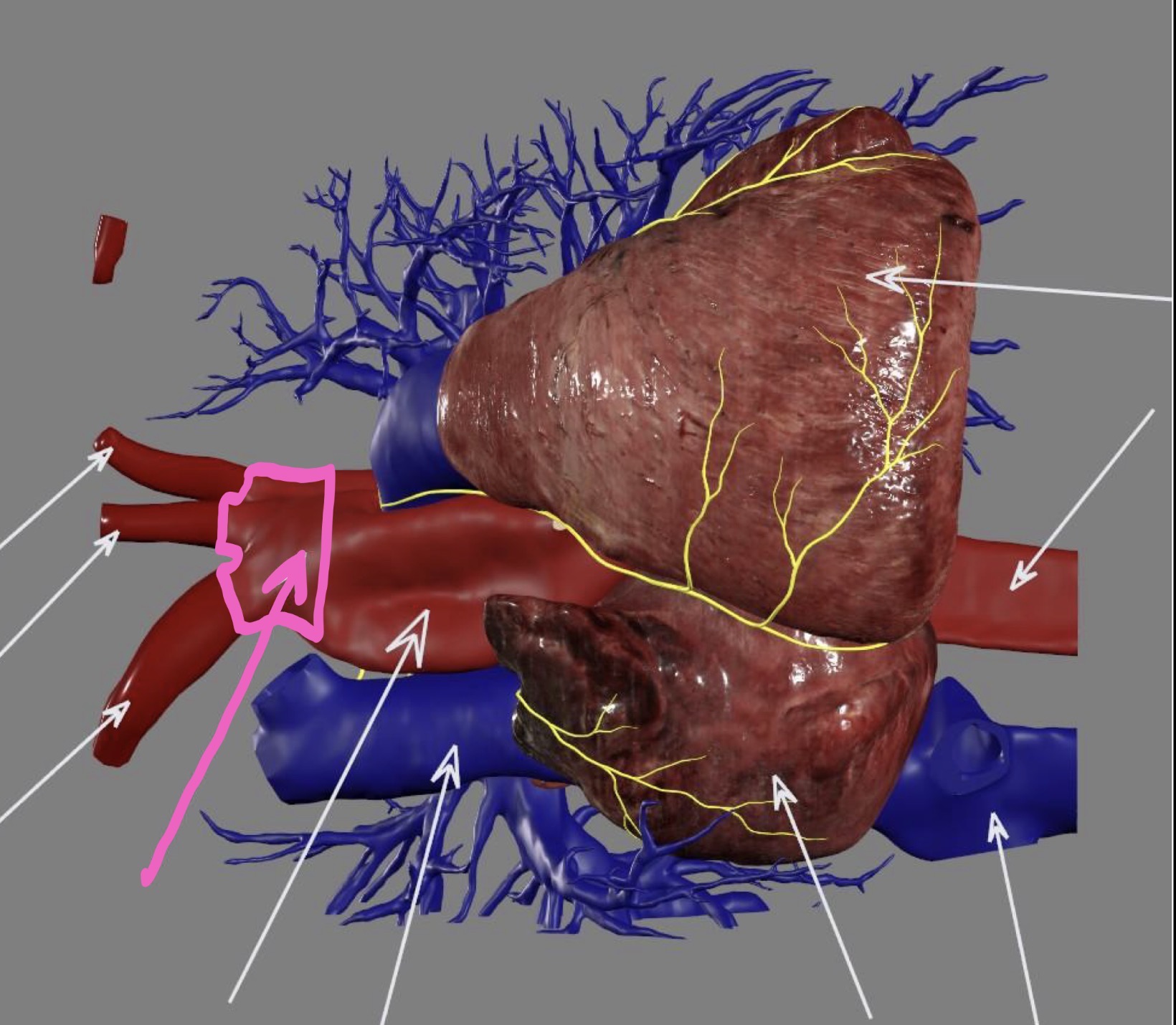 <p>What’s the highlighted area?</p>