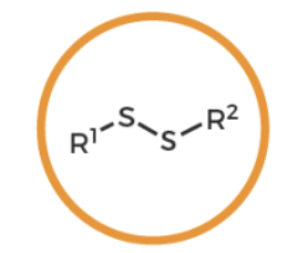 <p>what functional group is this? </p>