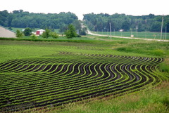 <p>A soil conservation method in which furrows are plowed across a hillside, perpendicular to its slope.</p>