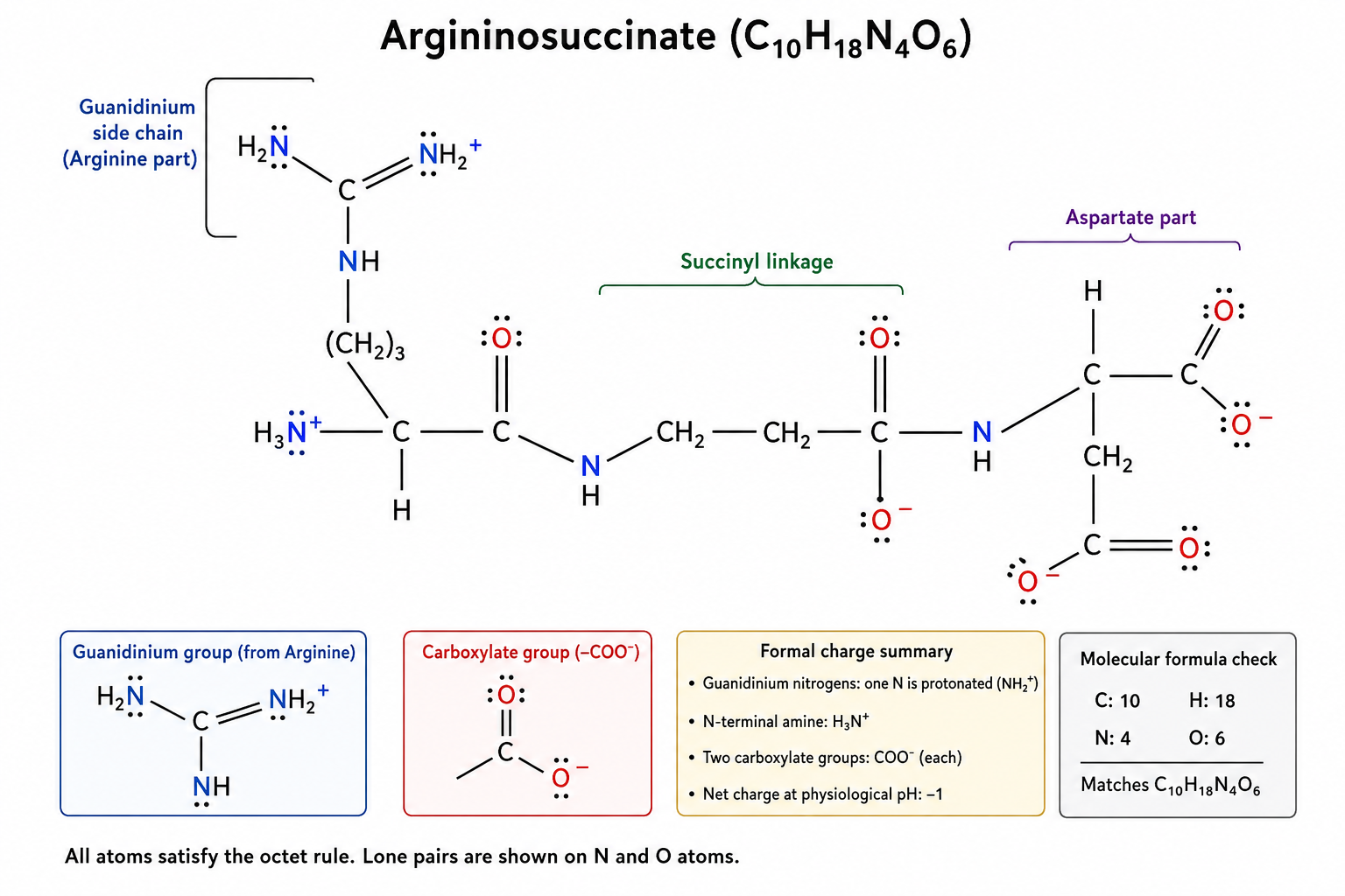<ul><li><p> C₁₀H₁₈N₄O₆ </p></li><li><p>Intermediate formed from citrulline and aspartate</p></li><li><p>Produced using ATP</p></li><li><p>Precursor of arginine</p></li></ul><p></p>