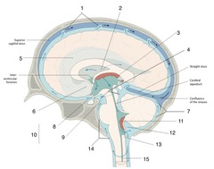 <p>Label 8</p>