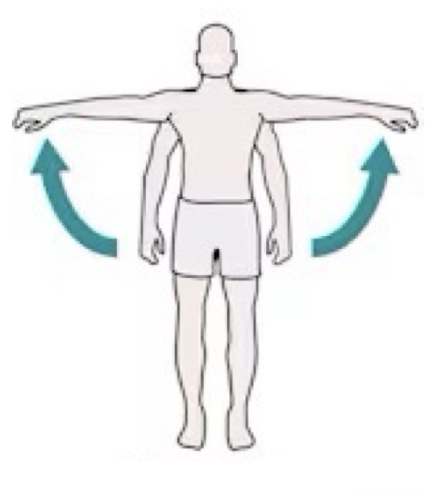 <p>name the muscle action</p>