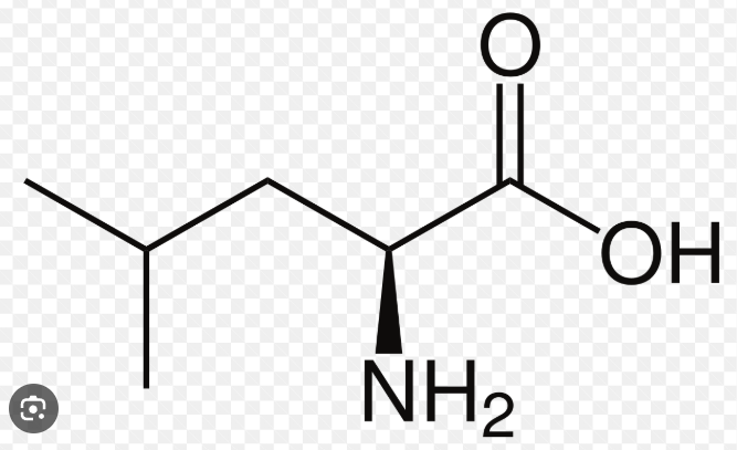 <p>name this amino acid</p>