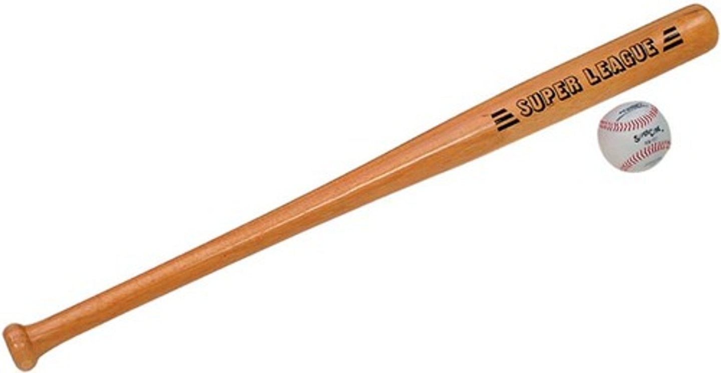 <p>baseball bat</p>