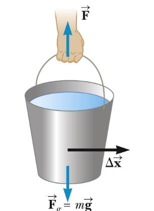 <ul><li><p>displacement is horizontal</p></li><li><p>force is vertical</p></li><li><p>cos90= 0 since work, W = (Fcos theta)d</p></li><li><p>W= 0 x J</p></li></ul><p></p>