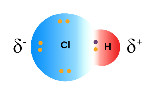 <p>Polar covalent bond</p>