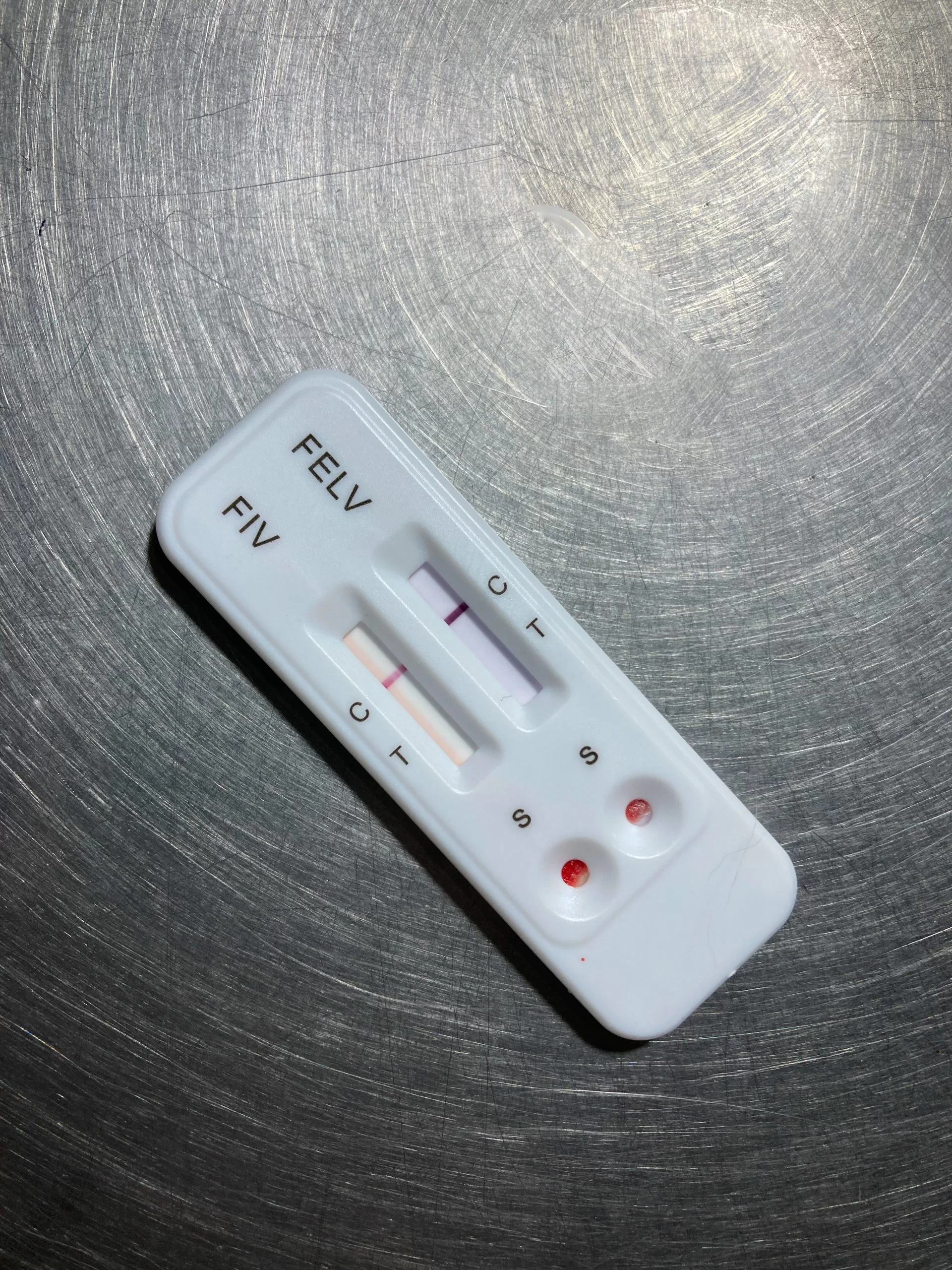 <p>Serum ELISA (FIV Screening)</p>