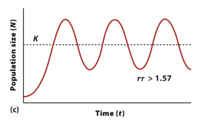 <p>rt > 1.57</p>