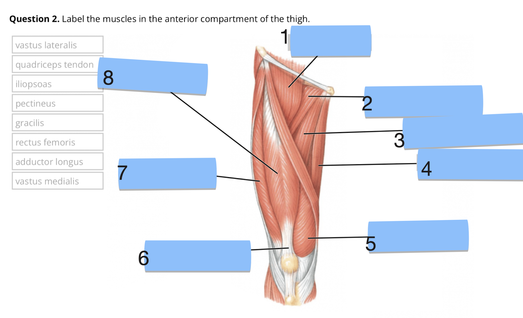 <p>Label structures 1-8</p>