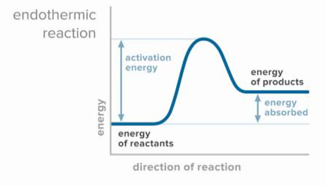 <ul><li><p>Reactions which <strong>absorb energy</strong> from the surroundings in the form of heat to form products</p></li><li><p>“<strong>Endo</strong>” means “energy <strong>enters</strong>” or “energy absorbed”</p></li><li><p>Heat is taken from the surroundings, meaning that the <strong>temperature of the surroundings will decrease</strong> (become colder)</p></li></ul><p></p>