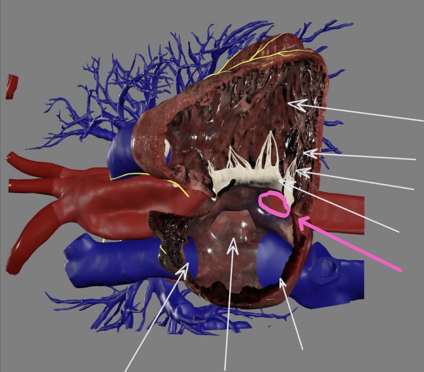 <p>What’s the highlighted area?</p>