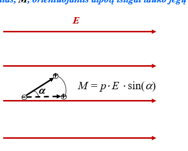 <p>orientuoja dipolį išilgai jėgų linijų</p>