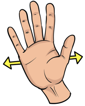 knowt flashcard image