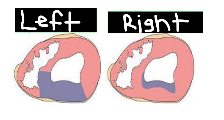 <p>What is on the left and on the right?</p>