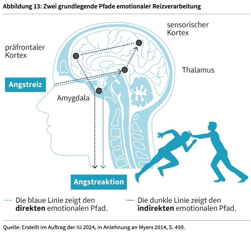 <p><strong>Zwei grundlegende Pfade emotionaler Reizverarbeitung:</strong><em> (siehe Abb. Skript am Beispiel eines Angstreizes und -reaktion)</em></p><ul><li><p>direkter emotionaler Pfad</p></li><li><p>indirekter emotionaler Pfad</p></li><li><p>so lässt sich erklären</p></li></ul><p></p>