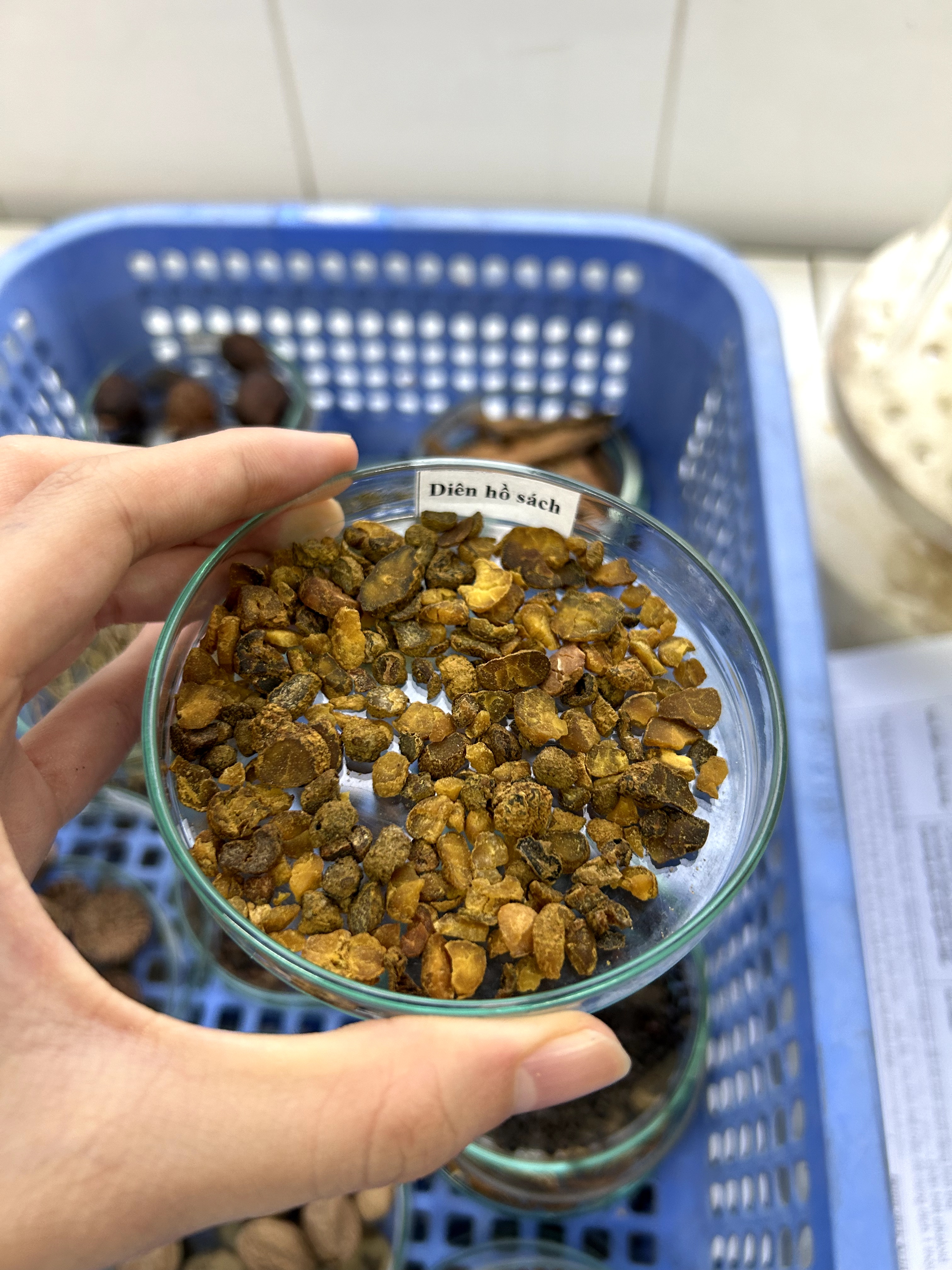 <p>diên hồ sách</p>