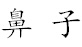 term image