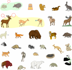 <p>Endothermic, vertebrate animal of a class that is distinguished by the possession of hair or fur, females that secrete milk for young, and (typically) the birth of live young.</p>