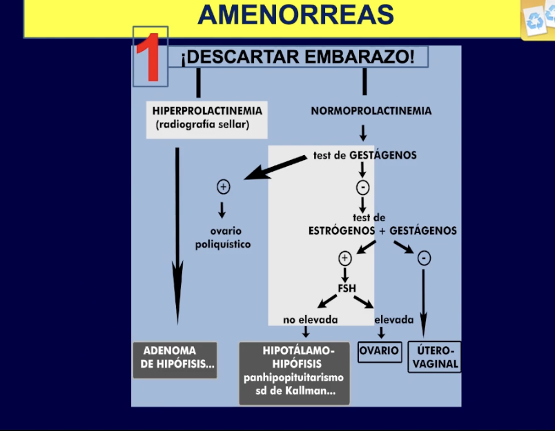 <p><span style="color: red;"><strong>LO PRIMERO DESCARTAR EMBARAZO </strong></span></p><p><span style="color: rgb(0, 0, 0);"><strong>Sd asherman: </strong>adherencias por legrados uterinos </span></p>