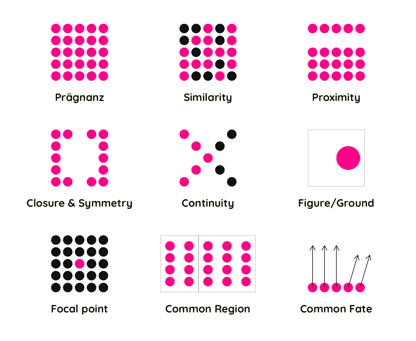 <p>Common Region</p>