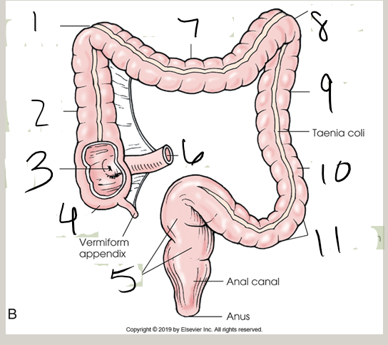 <p>what is 5?</p>