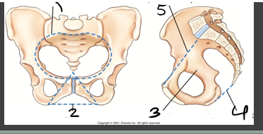 <p>what is 2?</p>