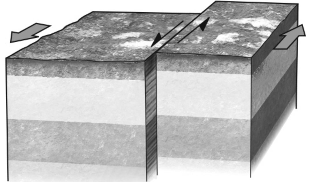 <p><span>If a fault is nearly vertical in orientation and the two walls of rock on opposite sides slide past one another horizontally, the fault is termed a ________ fault. Refer to the figure below for an example of such a feature.</span></p>
