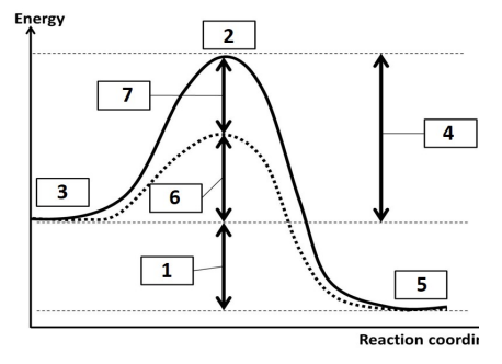 <p>Refer to the reaction coordinate diagram at right that compares catalyzed and uncatalyzed reactions. Which of the following three labels are correct? “Activation energy” = AE.</p>
