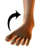 <p>What is this movement?</p>