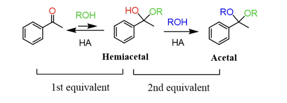 <p>Hemiacetals and Acetals</p>