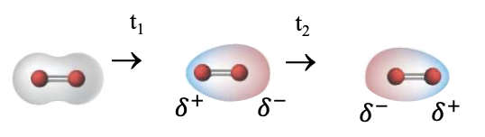 <p>TRUE Non-polar species:</p><ul><li><p>Although true non-polar species (e.g., hexane, H2) with uniform electron density where 𝛿- , 𝛿+ not assigned, due to inherent movement of electron , TEMPORARY<strong> </strong>regions of polarity exists.</p></li></ul><p></p>