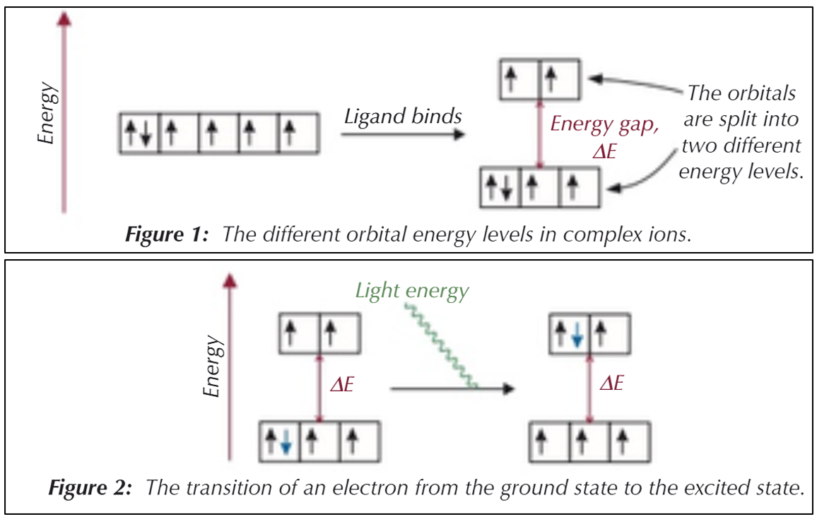 <ul><li><p>When ligands bond to transition metal ions, some orbitals are given more energy than others, splitting the 3d orbitals into different energy levels</p></li><li><p>Electrons tend to occupy the lower orbitals (ground state) &amp; to jump up to higher orbitals (excited state), they need energy equal to the energy gap (ΔE) → they get this energy from visible light</p></li><li><p>They then transmit this energy as visible light (only 1 colour is transmitted)</p><ul><li><p>for complexes with a full or empty 3d sub-shell, no electrons can migrate to the higher orbital, so complexes are seen as colourless or white</p></li></ul></li></ul><p></p>