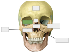 <p>This is the</p>