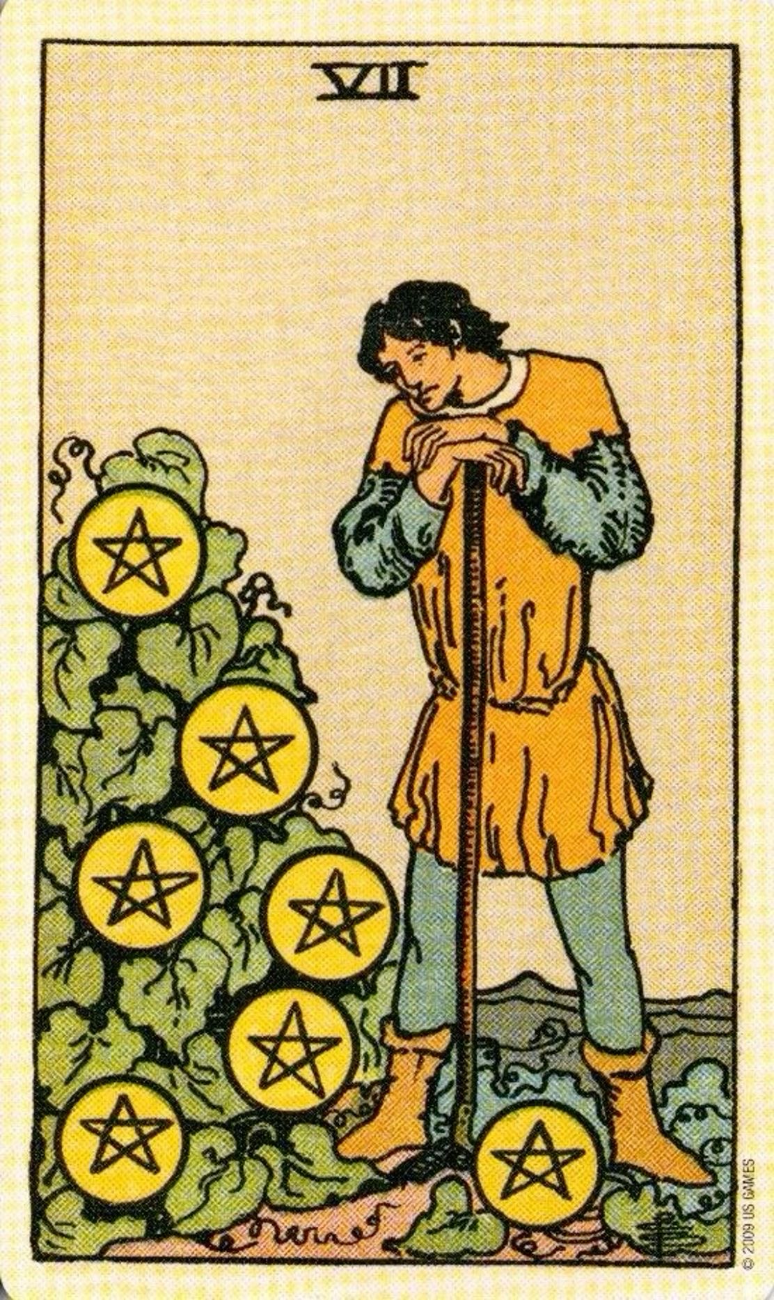 <p>Seven of Pentacles</p>
