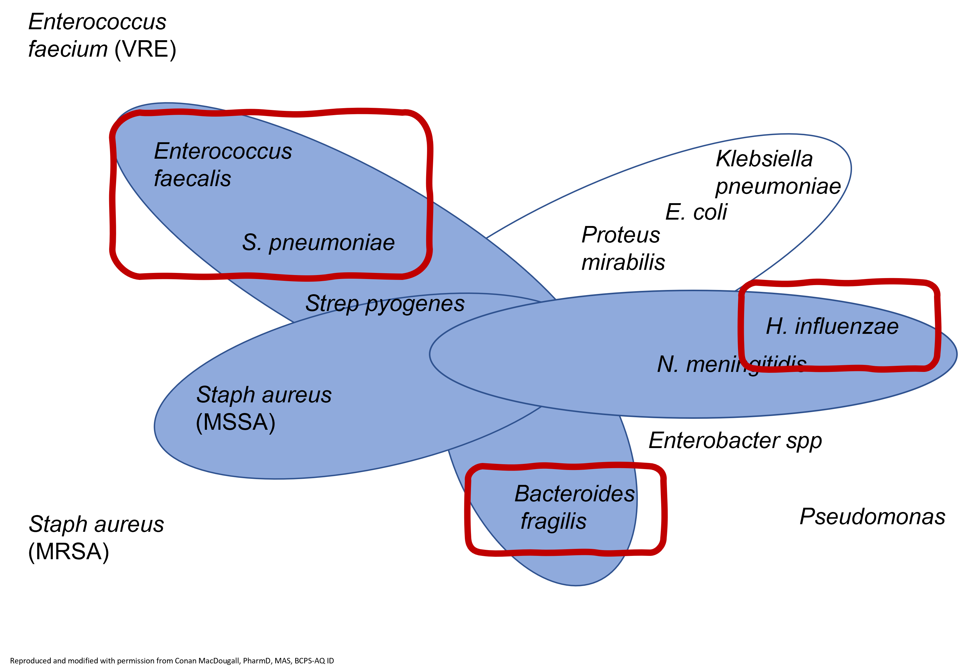 <p>name of the drug</p>