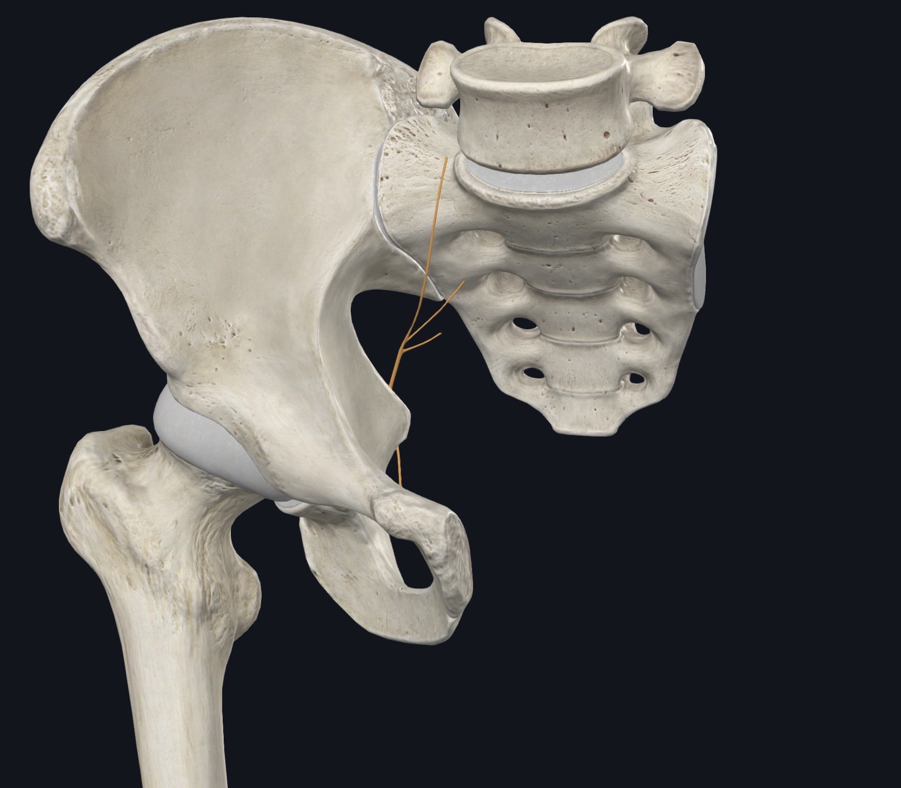 <p>¿Qué es esto?</p>