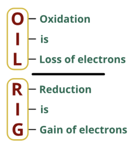 <p><span style="background-color: transparent;">Respiration involves the movement of electrons (oxidation + reduction; always together)</span></p>