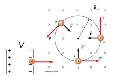 <p>Following the previous problem <span style="color: red;">(v = 4.38×10^-27kg)</span>, calculate the radius of their path. mp = 1.67x10–27 kg and e =1.6×10^-19 C</p><p><span style="color: yellow;">a. 0.023 cm</span></p><p><span style="color: yellow;">b. 0.046cm</span></p><p><span style="color: yellow;">c. 0.046mm</span></p><p><span style="color: yellow;">d. 0.023km</span></p>