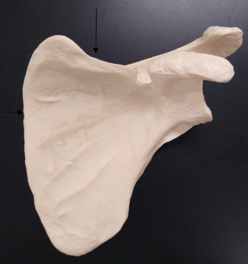 <p>What is this arrow on the left pointing to?</p>