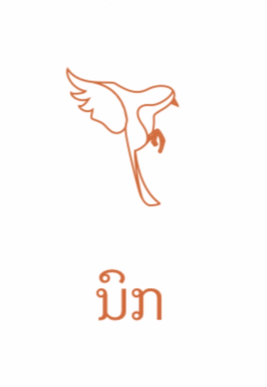 <p><span>/naw/ nok "Bird"</span></p>