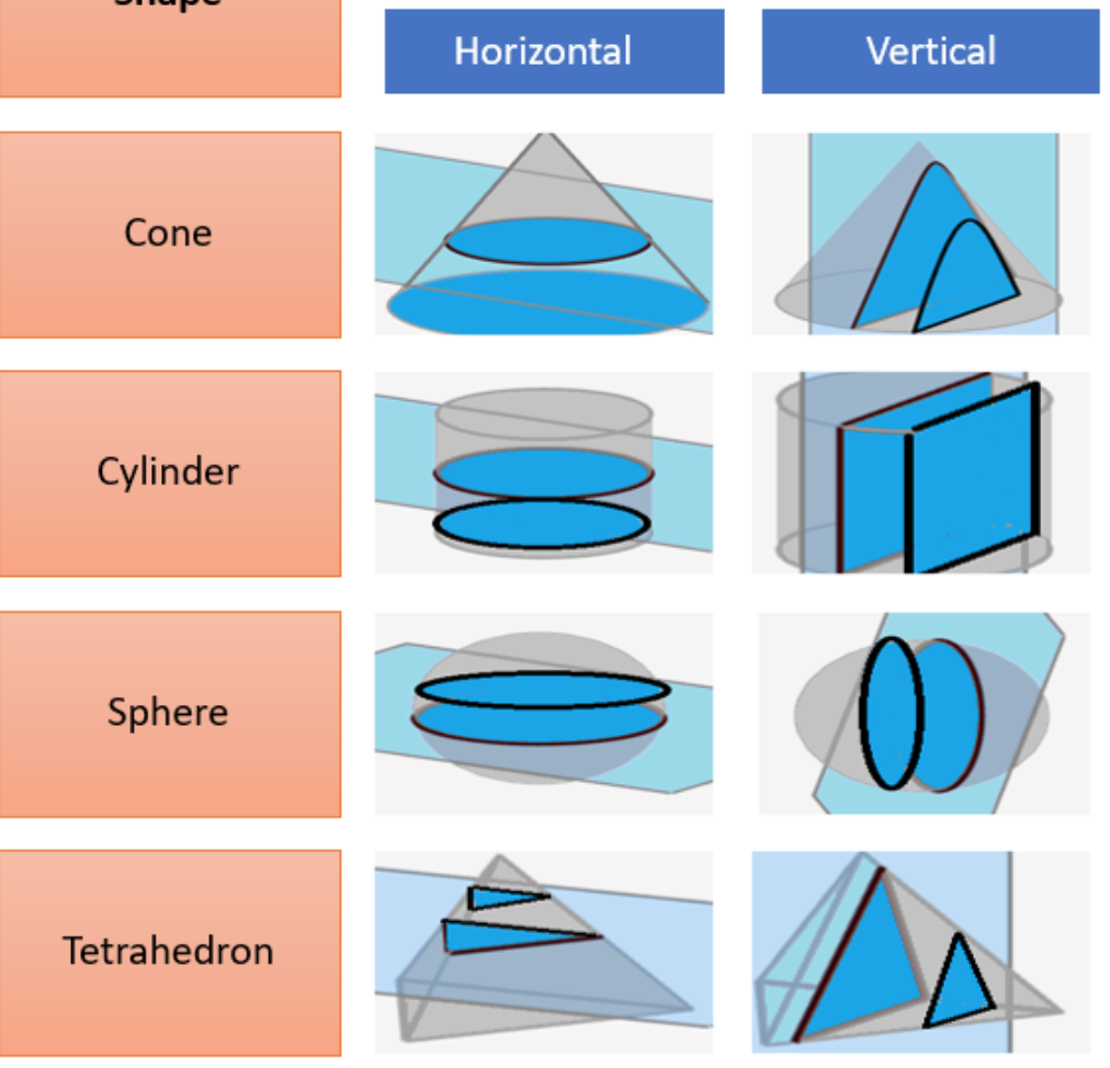 <p>the shape we get when we cut through a solid object.</p>