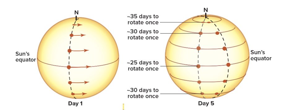 <p>What is differential rotation?</p>