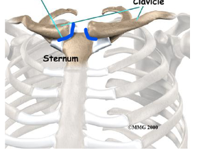 <p>What is this joint?</p>
