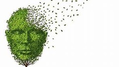 <p>Mental deterioration /ˈmɛntl dɪˌtɪəriəˈreɪʃn/ (Noun phrase) The process of becoming worse in cognitive function</p>