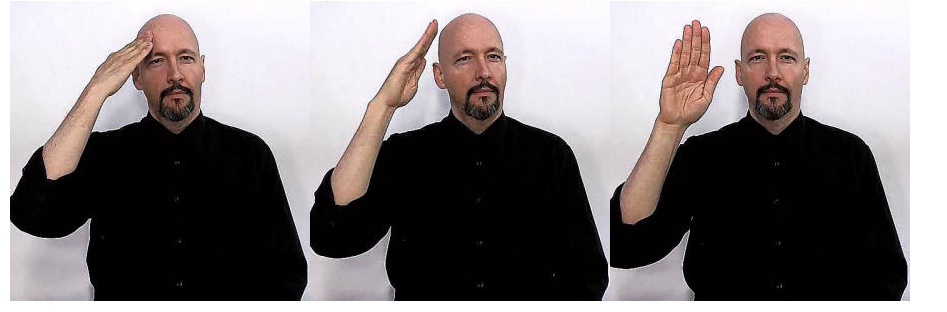 <p>right hand/fingers on forehead almost like salute. swipe outward/away and shake head no</p>